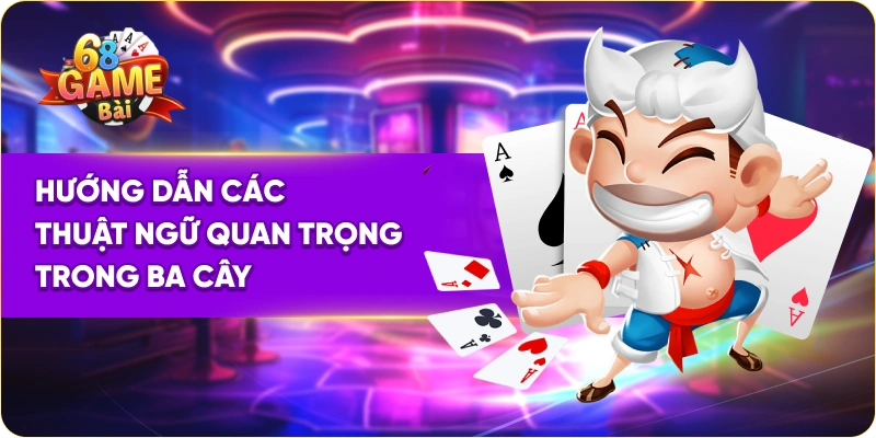 Hướng dẫn các thuật ngữ quan trọng trong ba cây